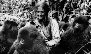 Dian Fossey