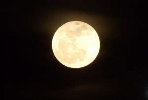 moon-17853_640