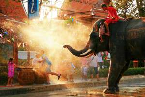 elefante_Songkran_restaurante_thai_gardens