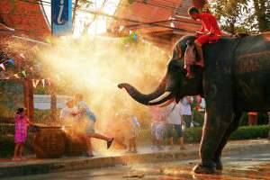 elefante_Songkran_restaurante_thai_gardens
