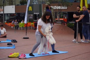 DOGA - SportyWeekend2