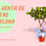 Gran Venta de Plantas – Barcelona del 27 al 29 de octubre