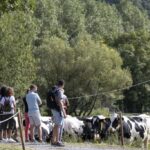 Vive un otoño singular y único dentro del mundo La Fageda