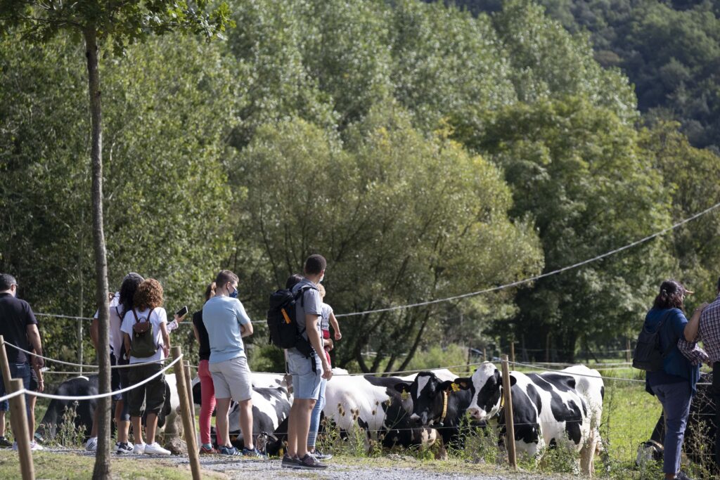 Vive un otoño singular y único dentro del mundo La Fageda