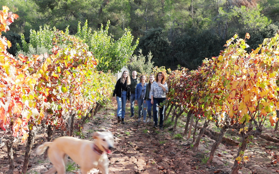 El Celler Masroig ofereix una àmplia gamma d’activitats per gaudir de l’enoturisme aquesta Setmana Santa