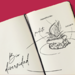 La cocina que apuesta por preservar la biodiversidad y está guiada por un propósito social y transformador será el eje del programa de la próxima edición del Gastronomic Forum Barcelona (GFB), que tendrá lugar del 6 al 8 de noviembre
