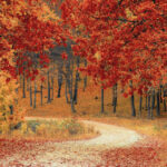 TALLERES DE OTOÑO Espai Granada a partir del 4 de Octubre