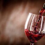 Barcelona Culinary Hub presenta el primer máster para profesionales del sector del vino