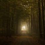 Horror Night Experience en Halloween 31 de octubre