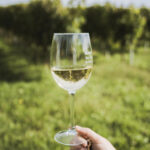 Salón Bizkaiko Txakolina 2024 que tendrá lugar el 12 de marzo en Barcelona y contará con la presencia de doce bodegas