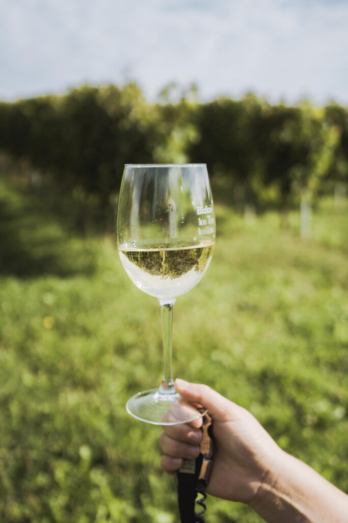 Salón Bizkaiko Txakolina 2024 que tendrá lugar el 12 de marzo en Barcelona y contará con la presencia de doce bodegas