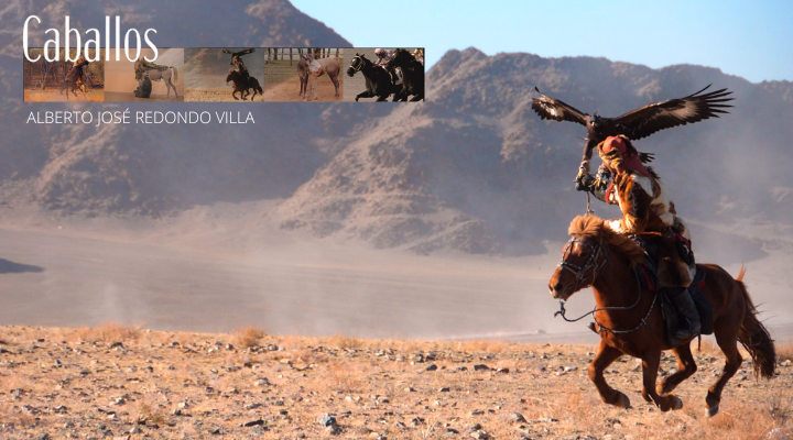 El próximo 26 de enero se estrenará «CABALLOS», el documental de Alberto Redondo en Cines Filmax de Barcelona