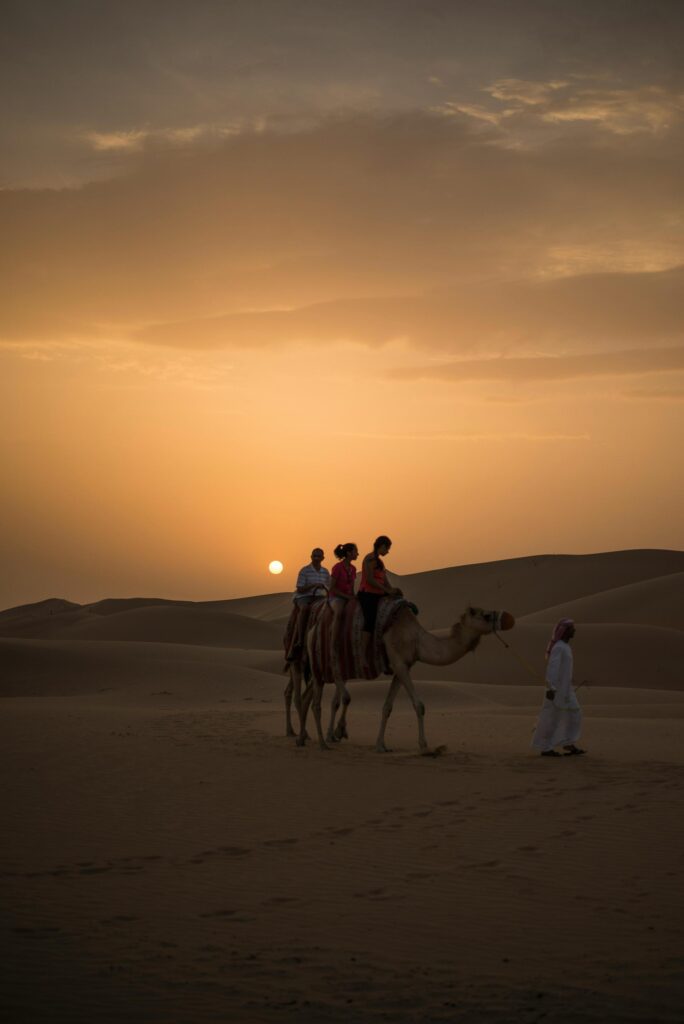 Honimunn & Formula 1: un viaje de aventura extrema en Abu Dhabi del 6 al 10 de diciembre