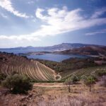 Perelada organitzarà el primer Simposi de Vins Mediterranis el 24 de març de 2025