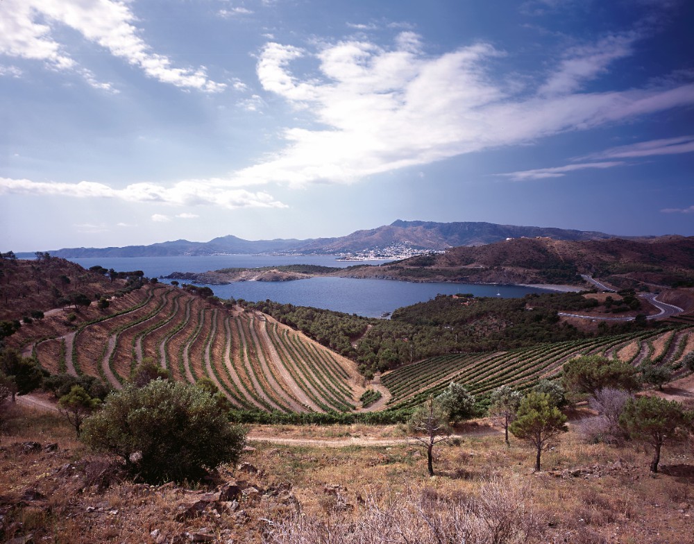 Perelada organitzarà el primer Simposi de Vins Mediterranis el 24 de març de 2025