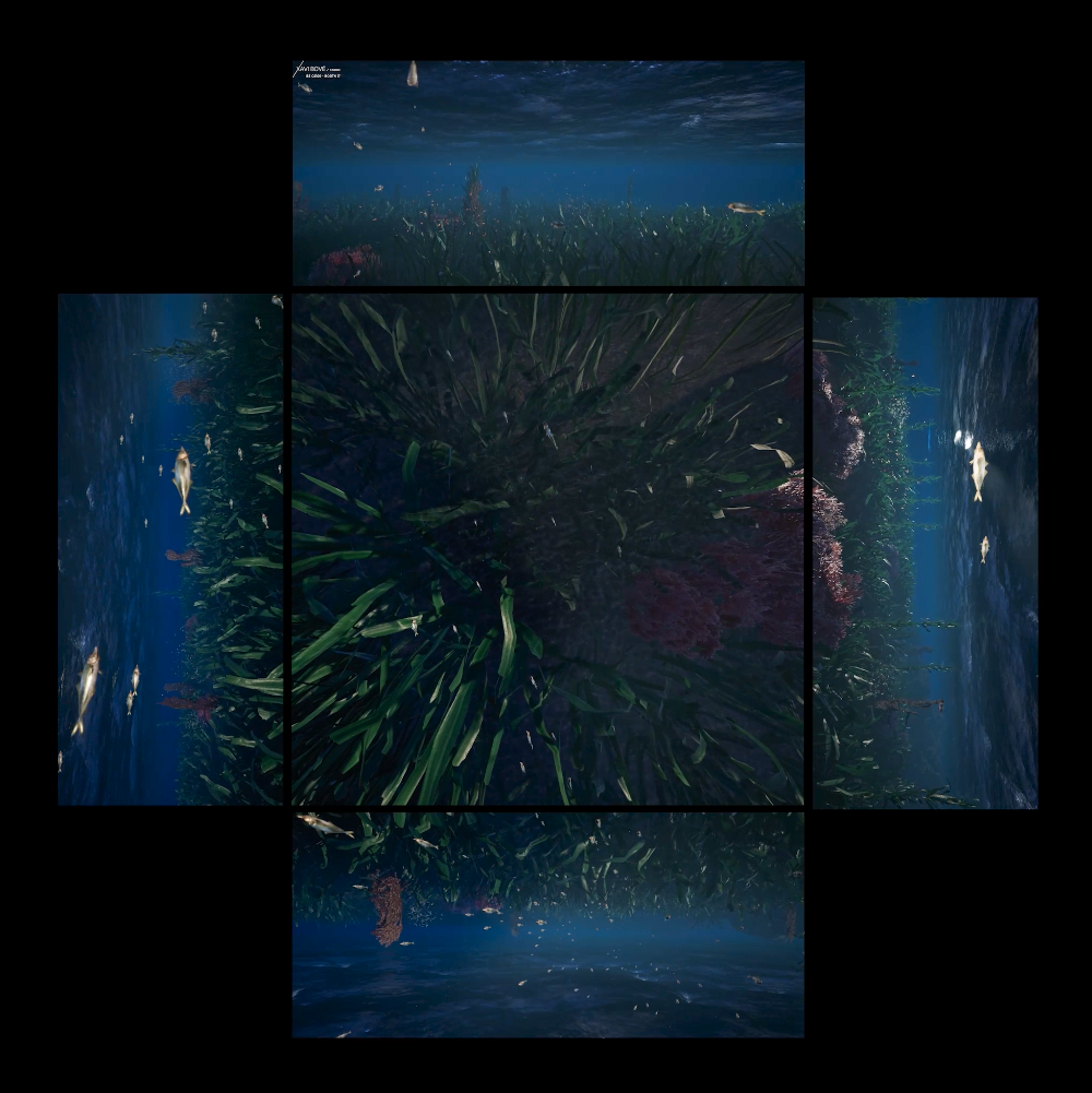Xavi Bové Studio presenta su nuevo proyecto inmersivo basado en la Posidonia oceanica, una especie esencial y en regresión en Integrated System Europe (ISE) del 4 al 7 de febrero en Barcelona
