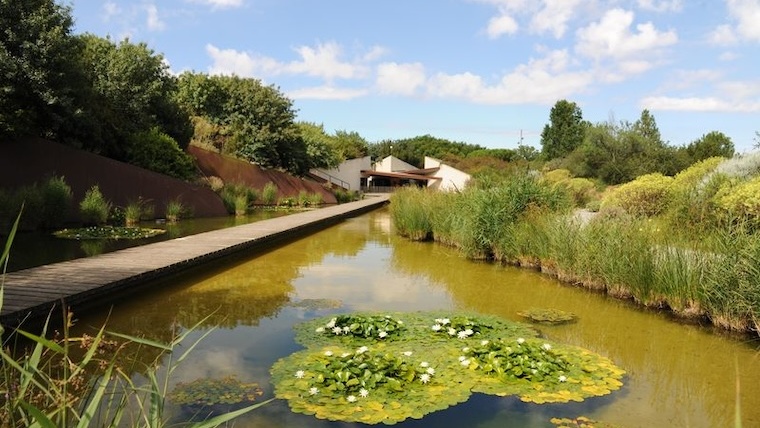 Puertas abiertas en el Jardín Botánico de Barcelona 19 de enero