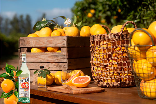 La emblemática firma de licor Cointreau, llevó a cabo el lanzamiento de su edición limitada Citrus Series Pomelo en la ciudad de Barcelona