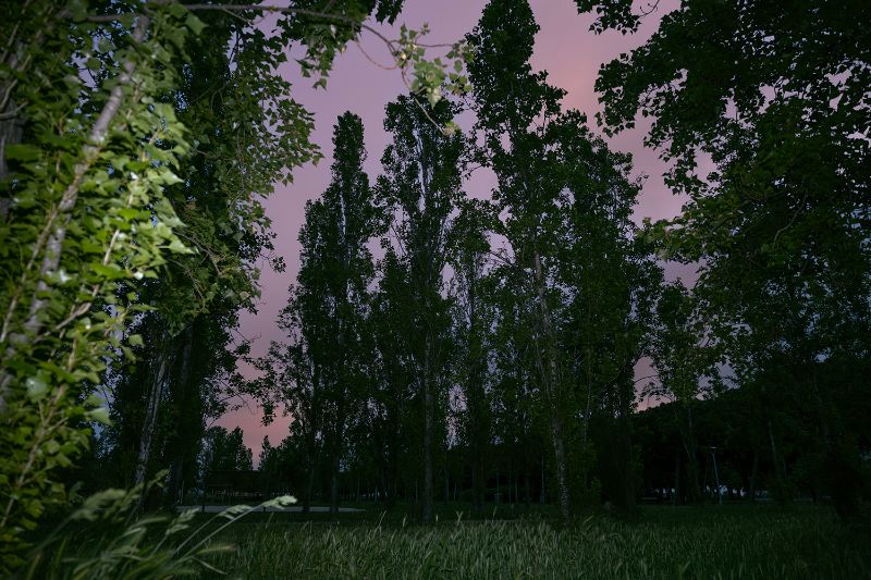 El clubbing más puro conecta con la naturaleza en SOUNDIT Festival 18 y 19 de julio