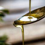 Barcelona celebra en otoño el primer mercado del aceite de nueva cosecha del 21 al 23 de noviembre