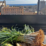 Brunch Séptimo Cielo edición BBQ Calçotada, 14 y 15 de marzo