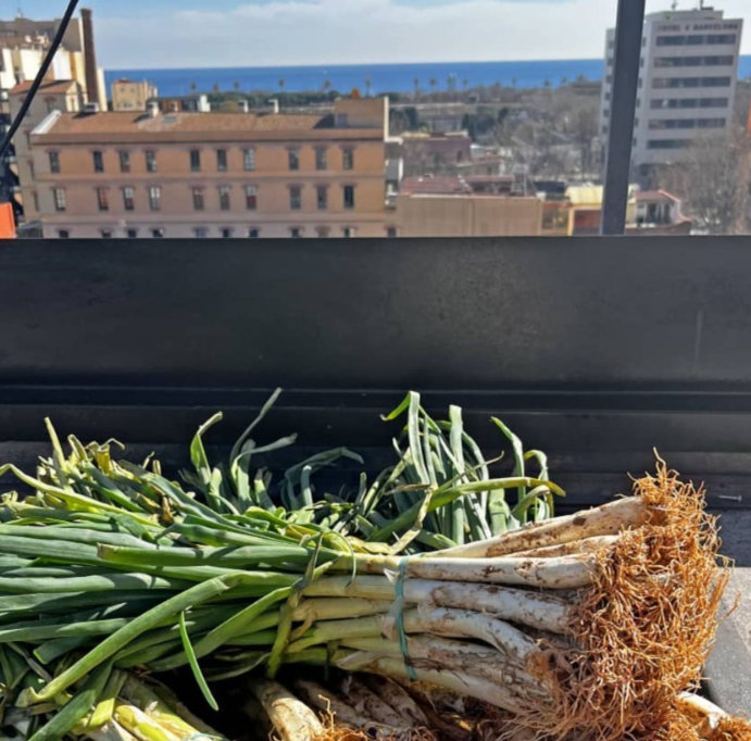 Brunch Séptimo Cielo edición BBQ Calçotada, 14 y 15 de marzo