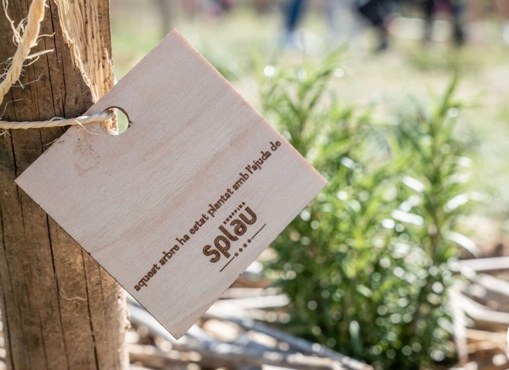 Splau promueve la restauración de la ribera del Llobregat a través de la plantación de 150 árboles durante la celebración de la Festa del Riu en Cornellà el 15 de marzo