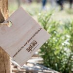 Splau promueve la restauración de la ribera del Llobregat a través de la plantación de 150 árboles durante la celebración de la Festa del Riu en Cornellà el 15 de marzo