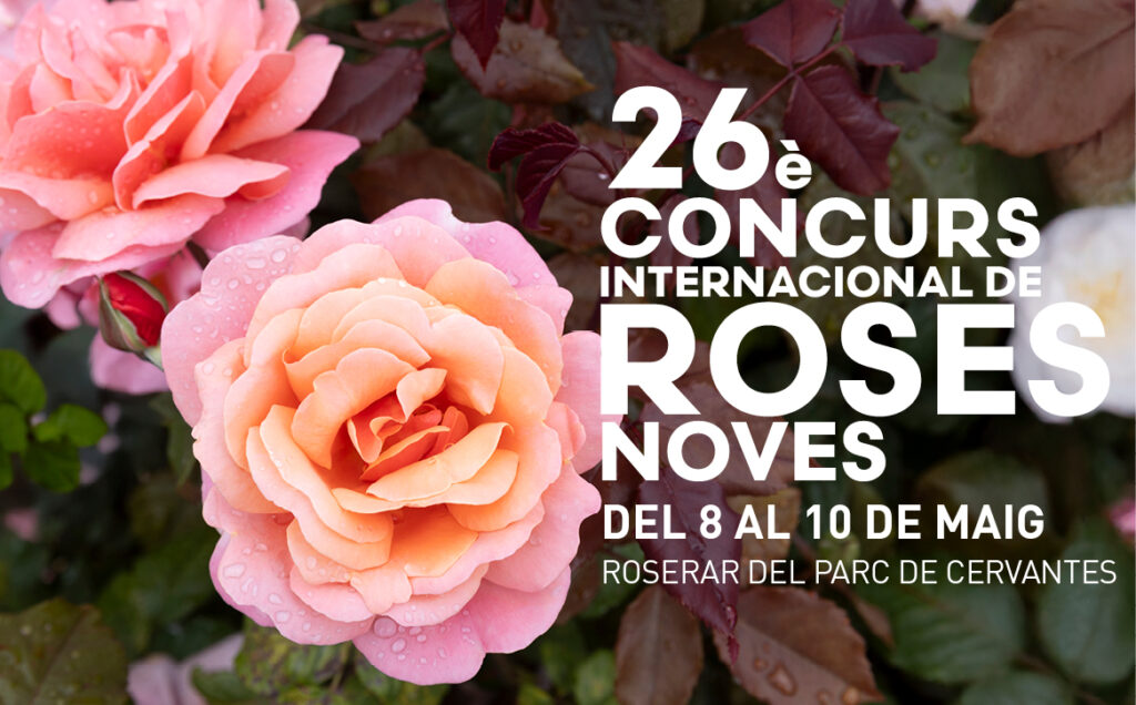 26.º Concurso Internacional de Rosas Nuevas se celebrará del 8 al 10 de mayo de 2025 en la rosaleda del parque de Cervantes