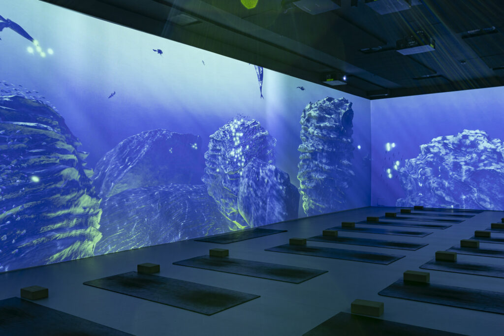 ANIMONDO: Viaje Salvaje, una experiencia inmersiva para descubrir la naturaleza en 360° en Barcelona a partir del 31 de octubre